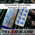 Commander De La Gelée Kamagra En Ligne 39